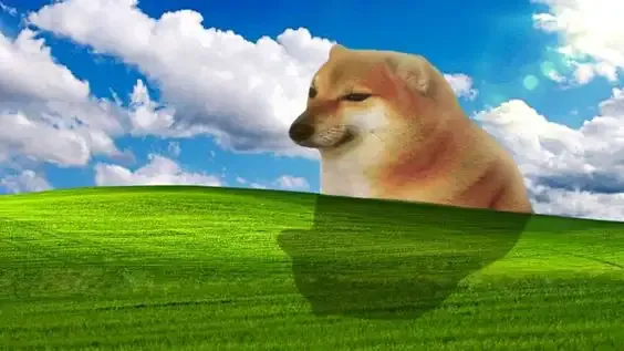 ảnh meme làm hình nền 20