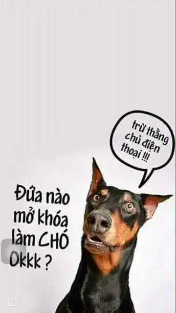 ảnh meme làm hình nền 4