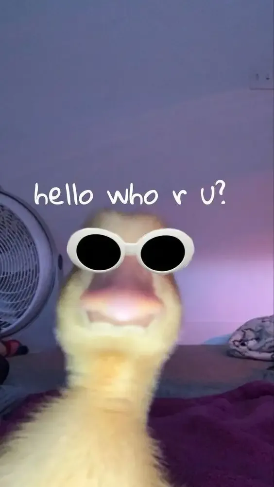 ảnh meme làm hình nền 12