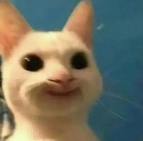 ảnh meme mèo 7