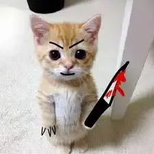 ảnh meme mèo cầm dao 26