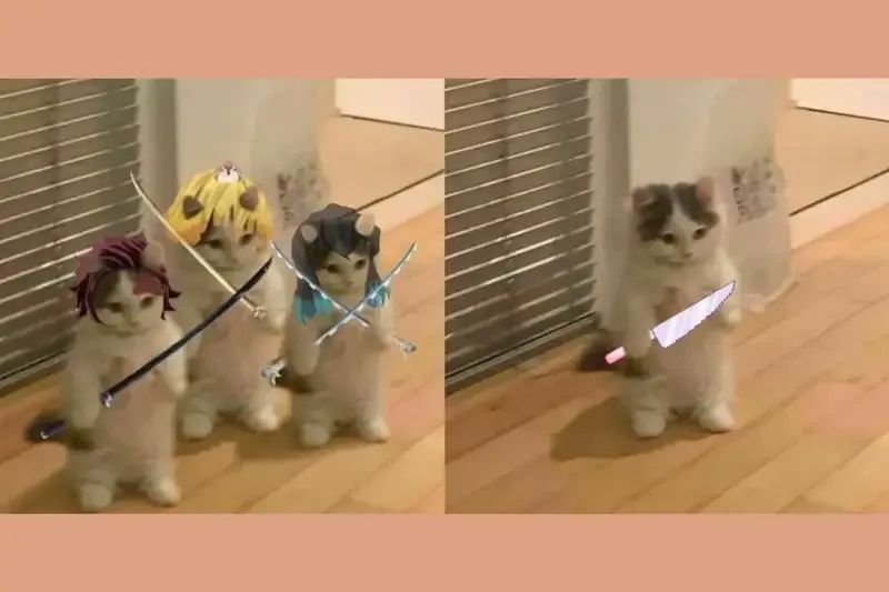 ảnh meme mèo cầm dao 21