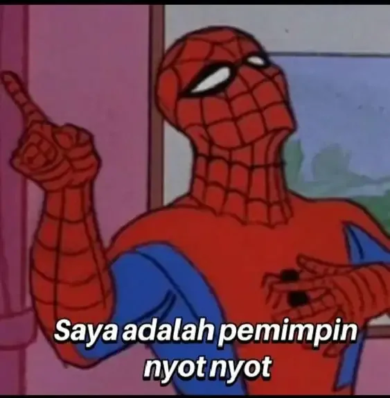  ảnh meme người nhện 22