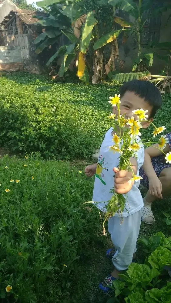 ảnh meme tặng hoa 3