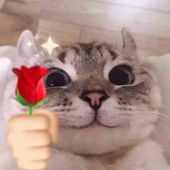 ảnh meme tặng hoa 4