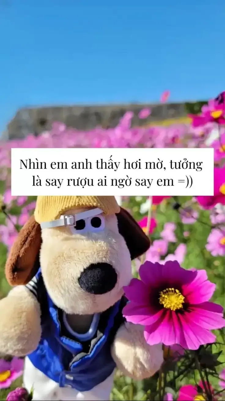 ảnh meme tặng hoa 6