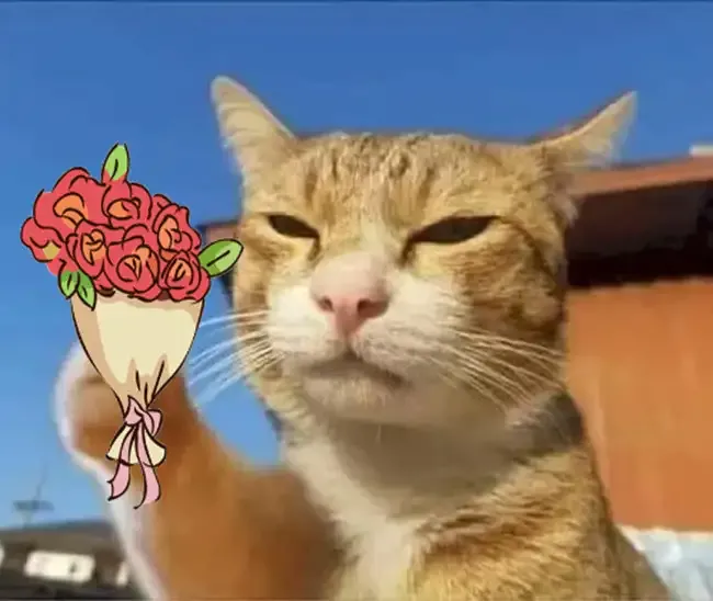 ảnh meme tặng hoa 1
