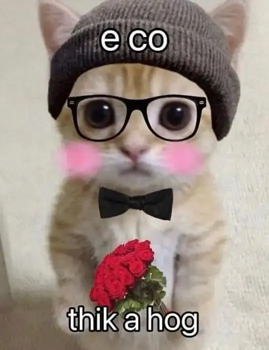 ảnh meme tặng hoa 10