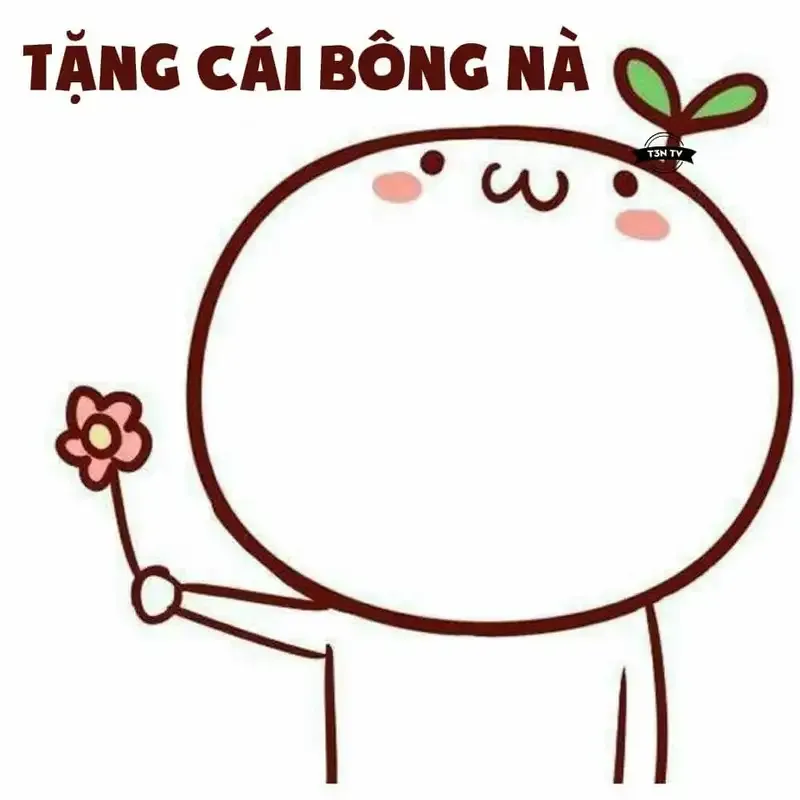 ảnh meme tặng hoa 2