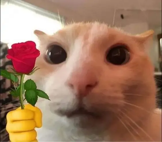 ảnh meme tặng hoa 13