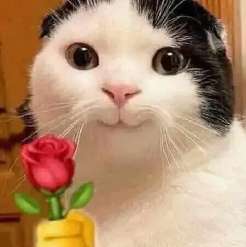 ảnh meme tặng hoa 16