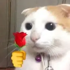 ảnh meme tặng hoa 23