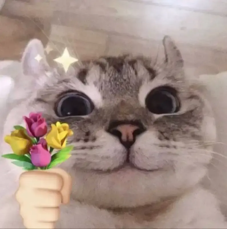 ảnh meme tặng hoa 25