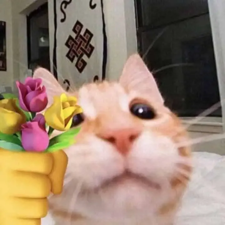 ảnh meme tặng hoa 26