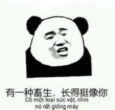 meme Trung Quốc 3