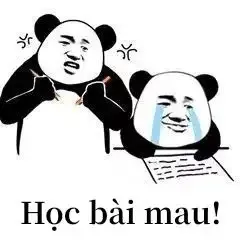 meme Trung Quốc 18