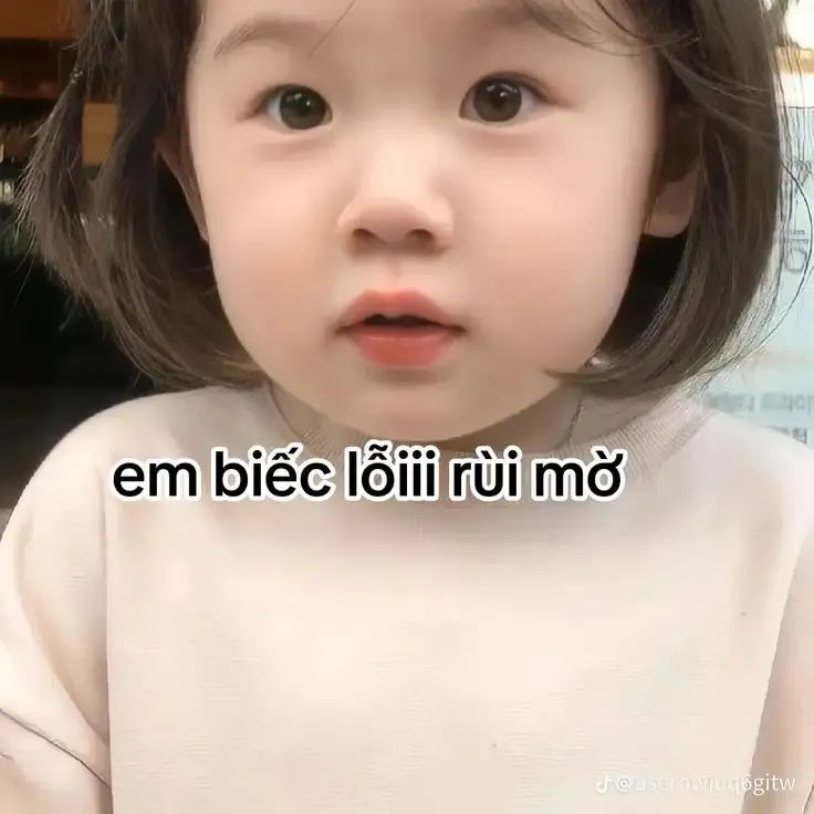  ảnh meme xin lỗi 1