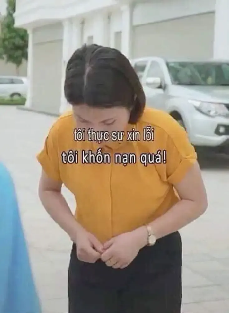  ảnh meme xin lỗi 13