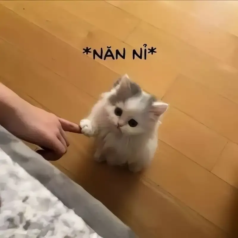  ảnh meme xin lỗi 28