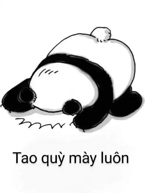  ảnh meme xin lỗi 16
