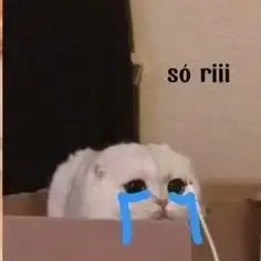  ảnh meme xin lỗi 34