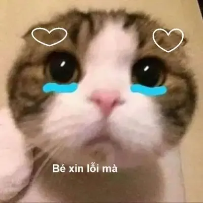  ảnh meme xin lỗi 36