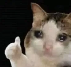  ảnh meme ok  5