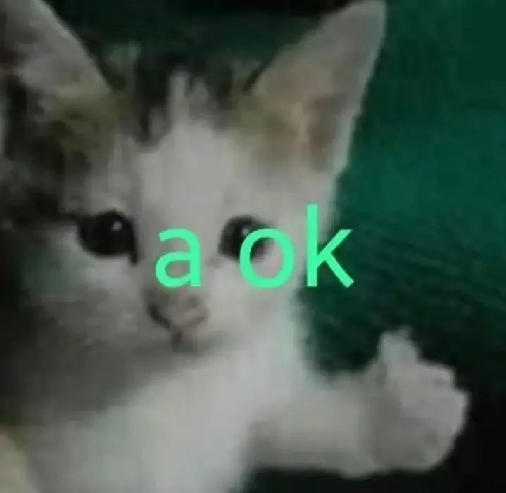  ảnh meme ok  12