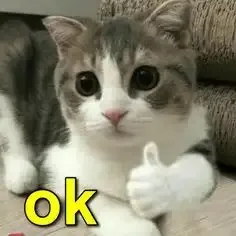  ảnh meme ok  18