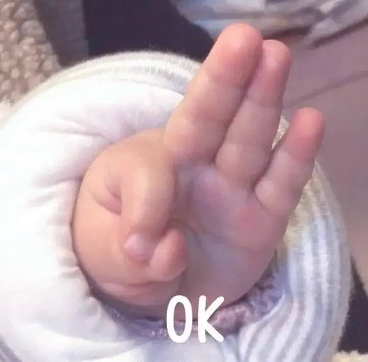  ảnh meme ok  21