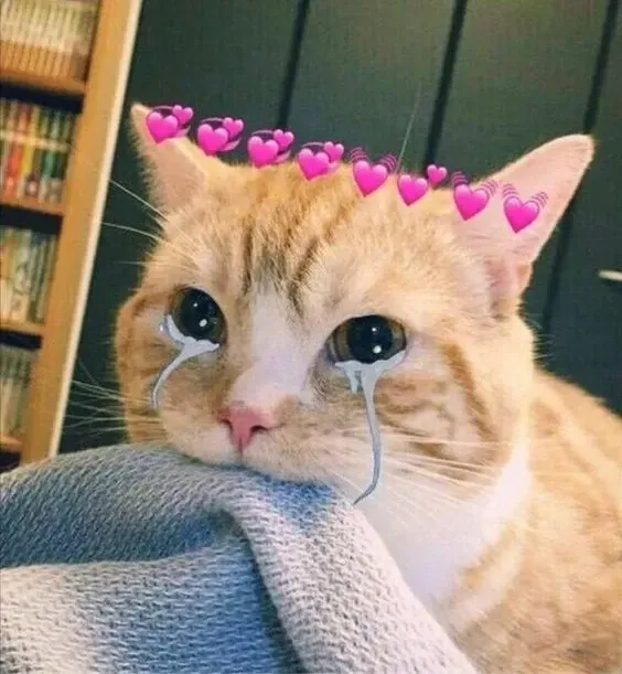 meme cảm động 42