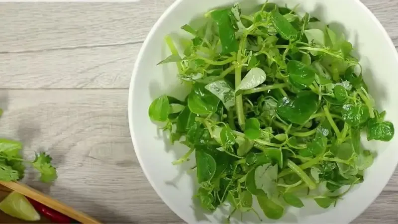  tác hại của rau càng cua 5