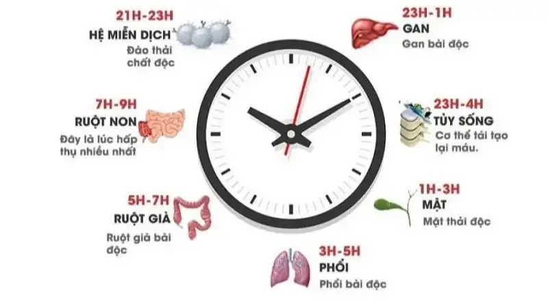 tác hại của thức khuya 1