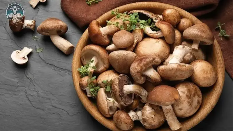 Tác hại của việc ăn quá nhiều nấm 3