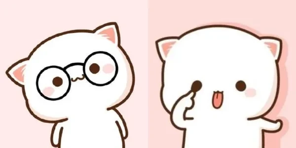 Hình avatar meme hài với biểu cảm gây cười, phù hợp mọi lứa tuổi