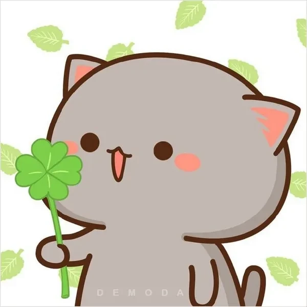 Avatar meme mèo bựa với biểu cảm độc đáo, tạo sự thu hút