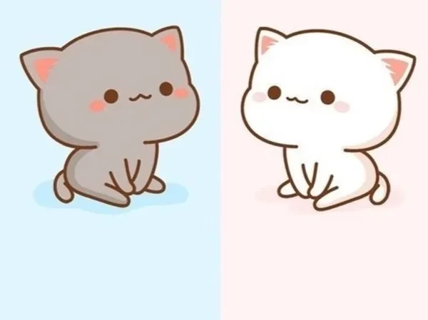 Avatar mèo Giáng Sinh meme mang lại không khí lễ hội vui nhộn