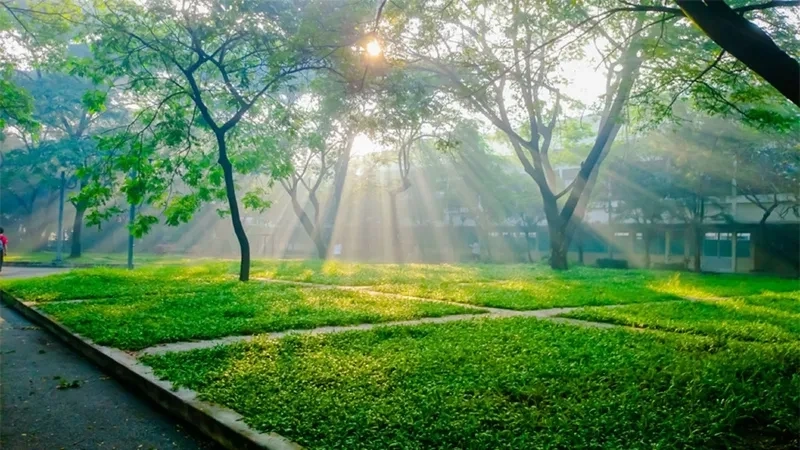 Hình ảnh thiên nhiên đẹp 4k là lựa chọn lý tưởng cho việc làm nền