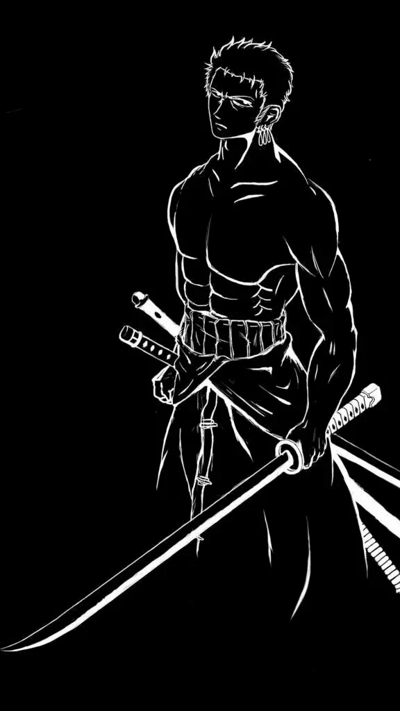 Hình Zoro 4K mang lại trải nghiệm hình ảnh chất lượng cao