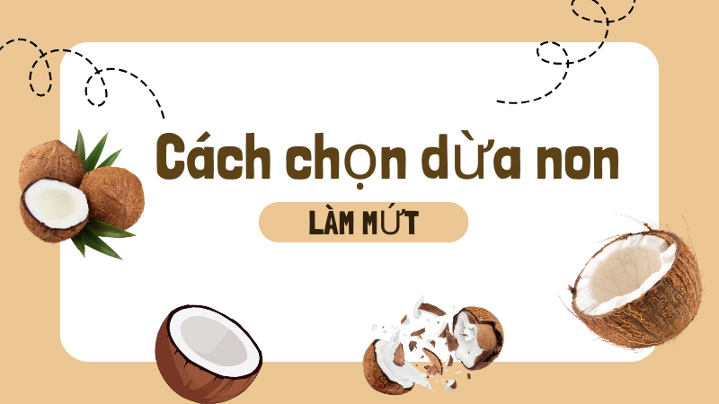 Cách chọn dừa non làm mứt ngon nhất