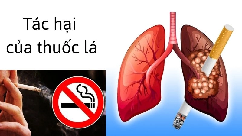Tác hại của thuốc lá