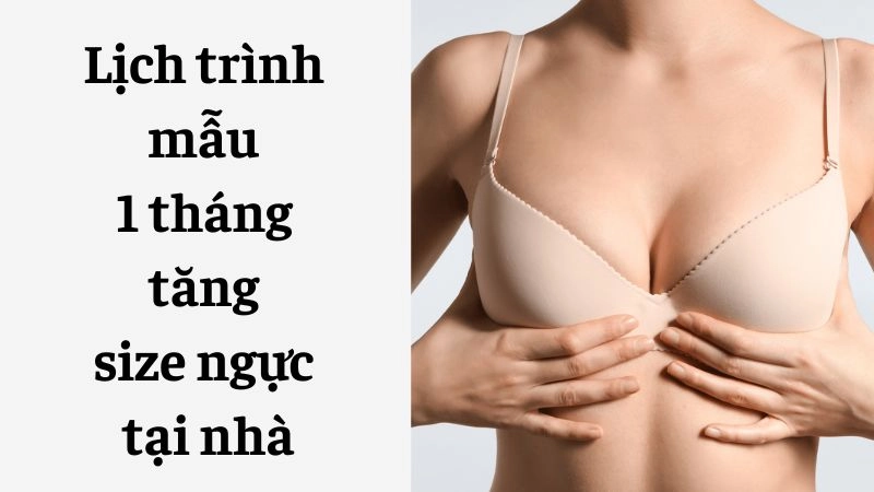 Lịch trình mẫu 1 tháng tăng size ngực tại nhà