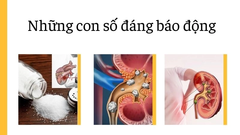 Những con số đáng báo động mà ít người biết
