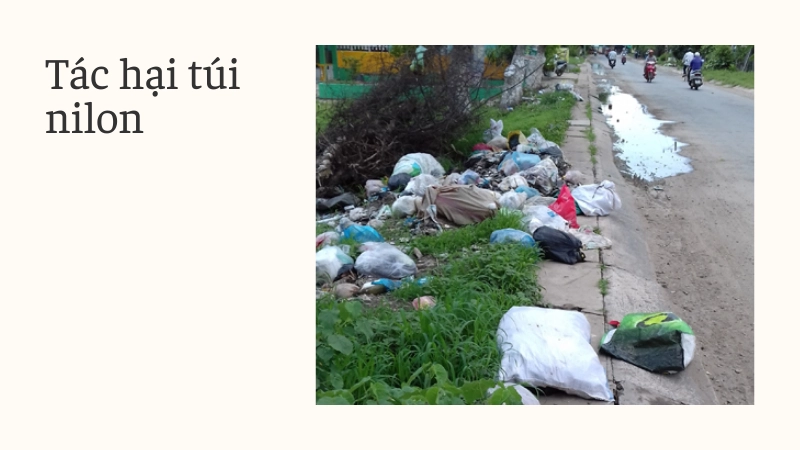 Hiểm họa khôn lường từ tác hại của túi nilon hàng ngày