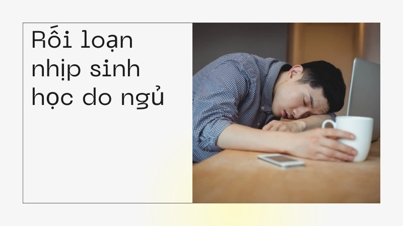 Rối loạn nhịp sinh học do ngủ nướng