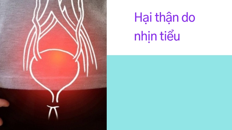 Nguy cơ hỏng thận do thói quen nhịn tiểu