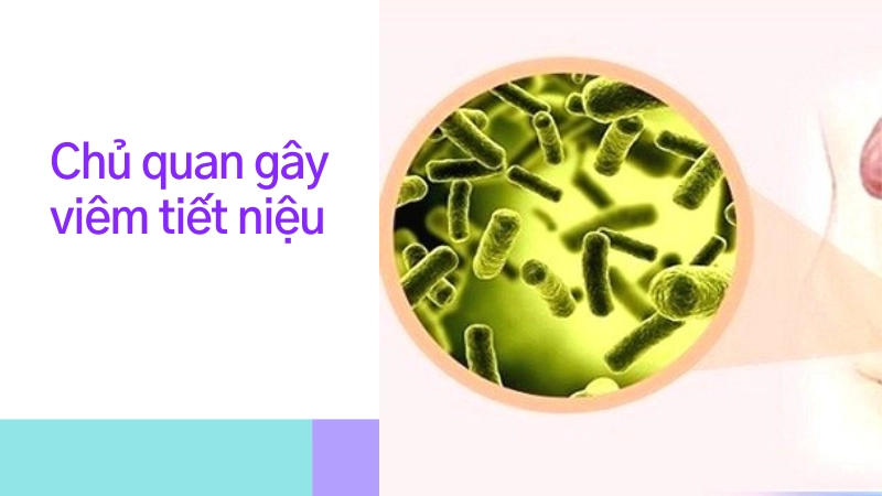 Viêm nhiễm đường tiết niệu vì chủ quan